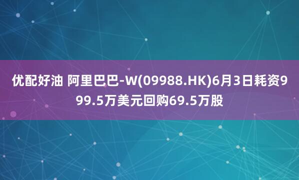 优配好油 阿里巴巴-W(09988.HK)6月3日耗资999.5万美元回购69.5万股