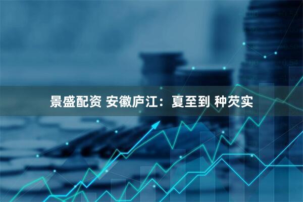 景盛配资 安徽庐江：夏至到 种芡实