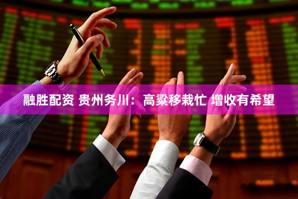 融胜配资 贵州务川：高粱移栽忙 增收有希望