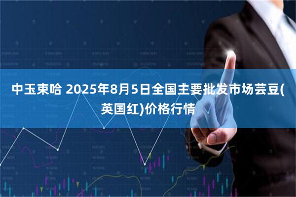 中玉束哈 2025年8月5日全国主要批发市场芸豆(英国红)价格行情