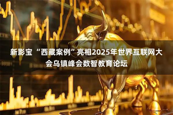 新影宝 “西藏案例”亮相2025年世界互联网大会乌镇峰会数智教育论坛