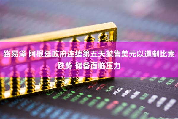 路易泽 阿根廷政府连续第五天抛售美元以遏制比索跌势 储备面临压力