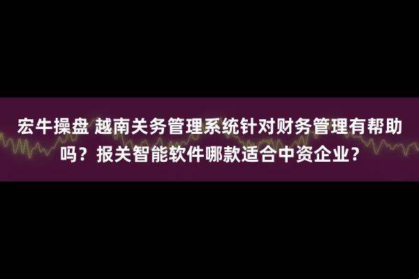 宏牛操盘 越南关务管理系统针对财务管理有帮助吗？报关智能软件哪款适合中资企业？