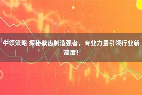 牛领策略 探秘截齿制造强者，专业力量引领行业新高度！