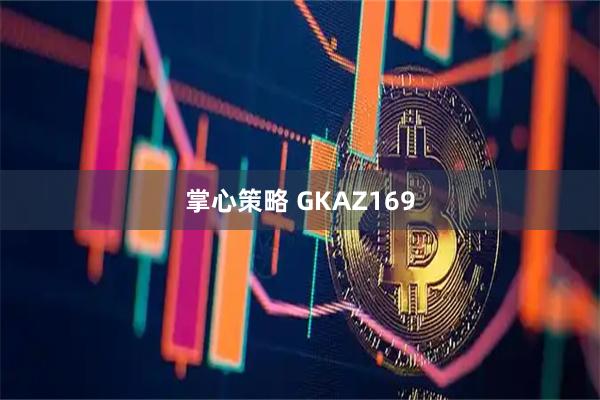 掌心策略 GKAZ169