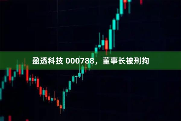 盈透科技 000788，董事长被刑拘