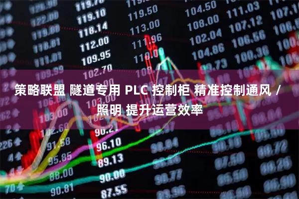 策略联盟 隧道专用 PLC 控制柜 精准控制通风 / 照明 提升运营效率