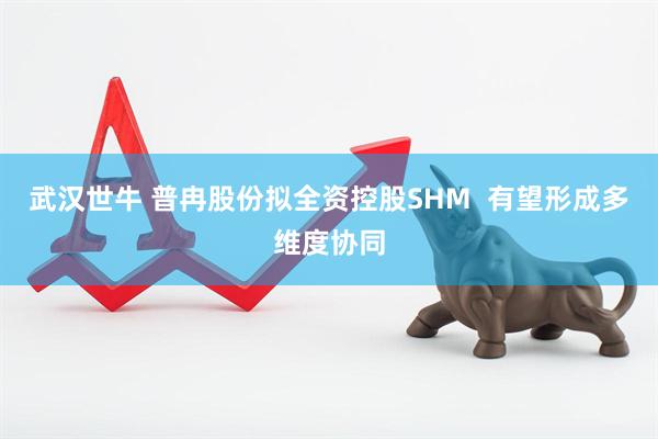 武汉世牛 普冉股份拟全资控股SHM  有望形成多维度协同