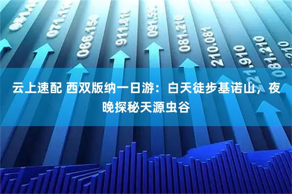 云上速配 西双版纳一日游：白天徒步基诺山，夜晚探秘天源虫谷